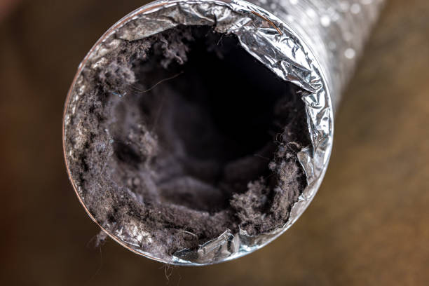 Best Air Duct Cleaning Near Me  in Darien, WI